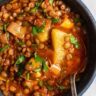 15-Step Guide to Perfect Lentil and Potato Stew