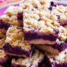 The Complete Guide to Making Blueberry Crumb Bars