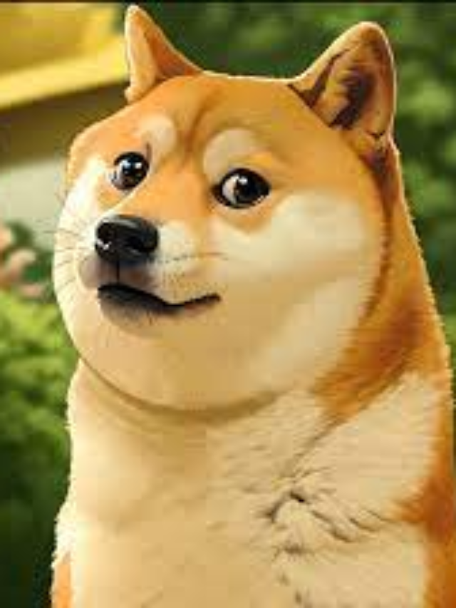Shiba Inu Kabosu, Internet's 'Doge' and Dogecoin Symbol, Dies