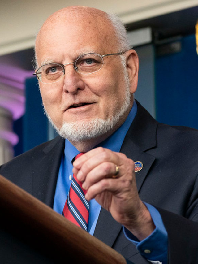 Bird Flu Could Spark Next Pandemic, Warns Ex-CDC Director